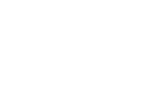 VSA logo